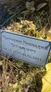 Захоронение ID 6396436