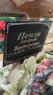 Захоронение ID 6396538
