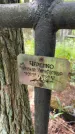 Захоронение ID 6396545