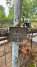 Захоронение ID 6396576