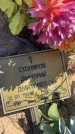 Захоронение ID 6396598