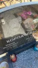 Захоронение ID 6396615