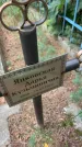 Захоронение ID 6396631