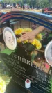 Захоронение ID 6396770